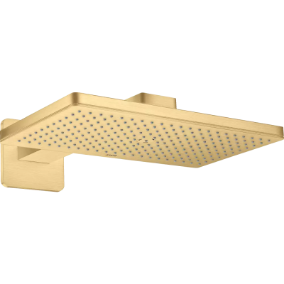 AX Верхний душ 460 1jet с держателем,BGO ..