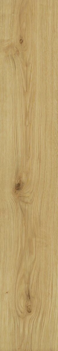 Exence Almond 20x120 ..