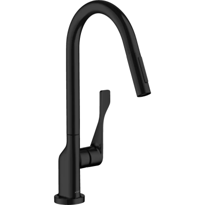 AX Citterio Кух. смес. 250, выт. душ, Eco, мч ..