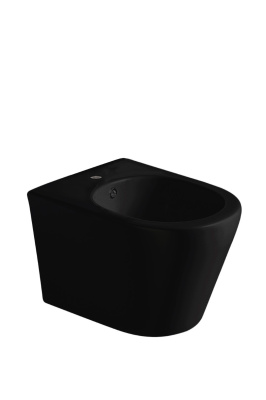 973-B-BIDET