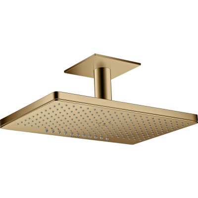 AX верх.душ 460 2jet, потолоч.подс. .. AX верх.душ 460 2jet, потолоч.подс. ..