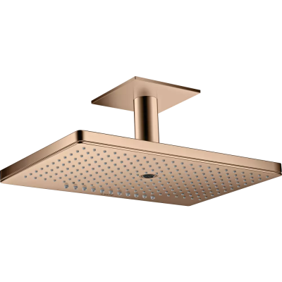 AX Верхний душ 460 3jet с пот. под., PRG ..