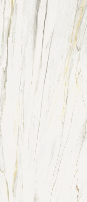 (tekdata) 600180000047_1.jpg palazzo.pro