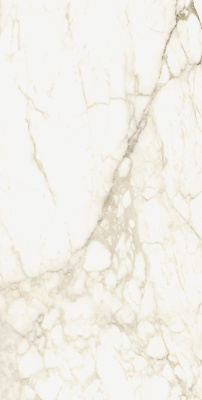 МИКЕЛАНДЖЕЛО ВОРМ 60X120 РЕТ ..