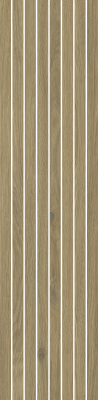 610010006251