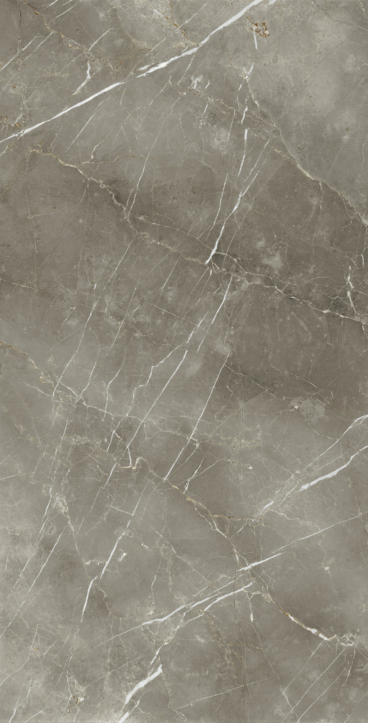 https://file.italonceramica.ru/Home/codificaarticoli/articoli/610010002843_1.jpg https://file.italonceramica.ru/Home/codificaarticoli/articoli/610010002843_1.jpg