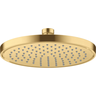AX Conscious Showers Верхний душ 220 1jet, EcoSmart, BGO .. AX Conscious Showers Верхний душ 220 1jet, EcoSmart, BGO ..