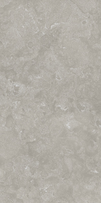 ВОЯДЖЕР ГРЭЙ 60X120 РЕТ ..