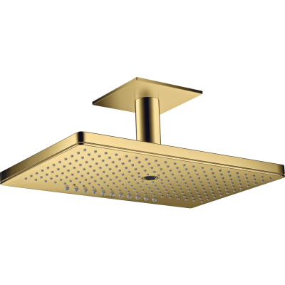 AX Верхний душ 460 3jet с пот. под., PGO .. AX Верхний душ 460 3jet с пот. под., PGO ..