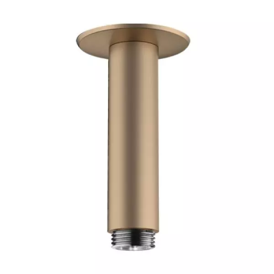 HG Raindance Потол. подсоед. 100мм, BBR ..