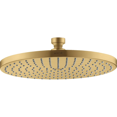 AX Starck Верхний душ BGO ..