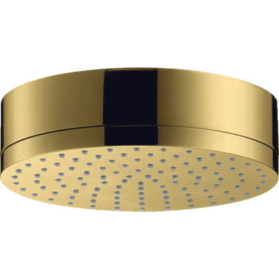 AX Citterio Верхний душ PGO ..