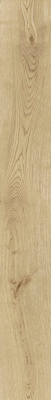 Exence Vanilla 18,5x150