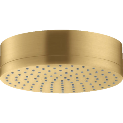 AX Citterio Верхний душ BGO ..