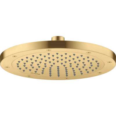 AX Conscious Showers Верхний душ 245 1jet, BGO ..