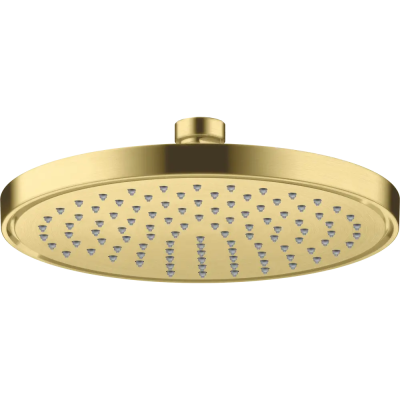 AX Conscious Showers Верхний душ 220 1jet, EcoSmart+, BB .. AX Conscious Showers Верхний душ 220 1jet, EcoSmart+, BB ..
