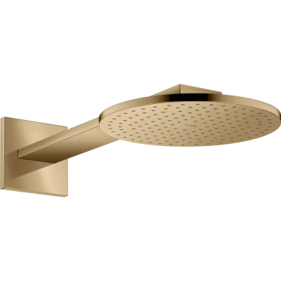 AX Верхний душ 250 1jet с держ., PBR ..