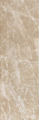 Элит Силвер Грэй (25X75 Глянц.)