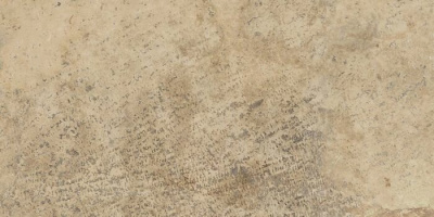 (tekdata) 4d39a8be0489dc2e6ed438029797e525.jpg palazzo.pro