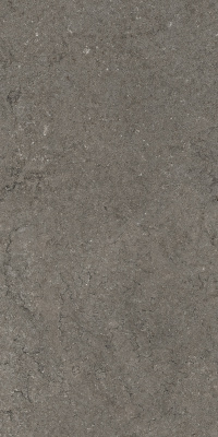 ДИСКАВЕР ФУМЭ 60X120 РЕТ ..