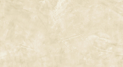 Тезис Лайт 30,5х56 ..