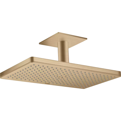 AX Верхний душ 460 1jet с пот. под., BBR .. AX Верхний душ 460 1jet с пот. под., BBR ..