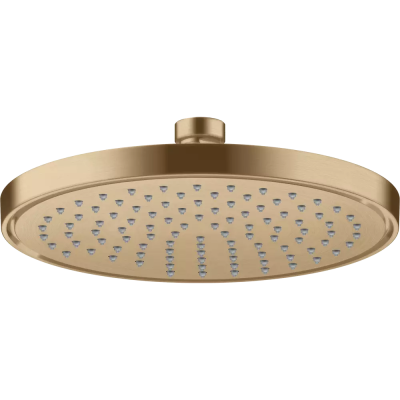 AX Con. Showers Верхний душ 220 1j, BBR ..