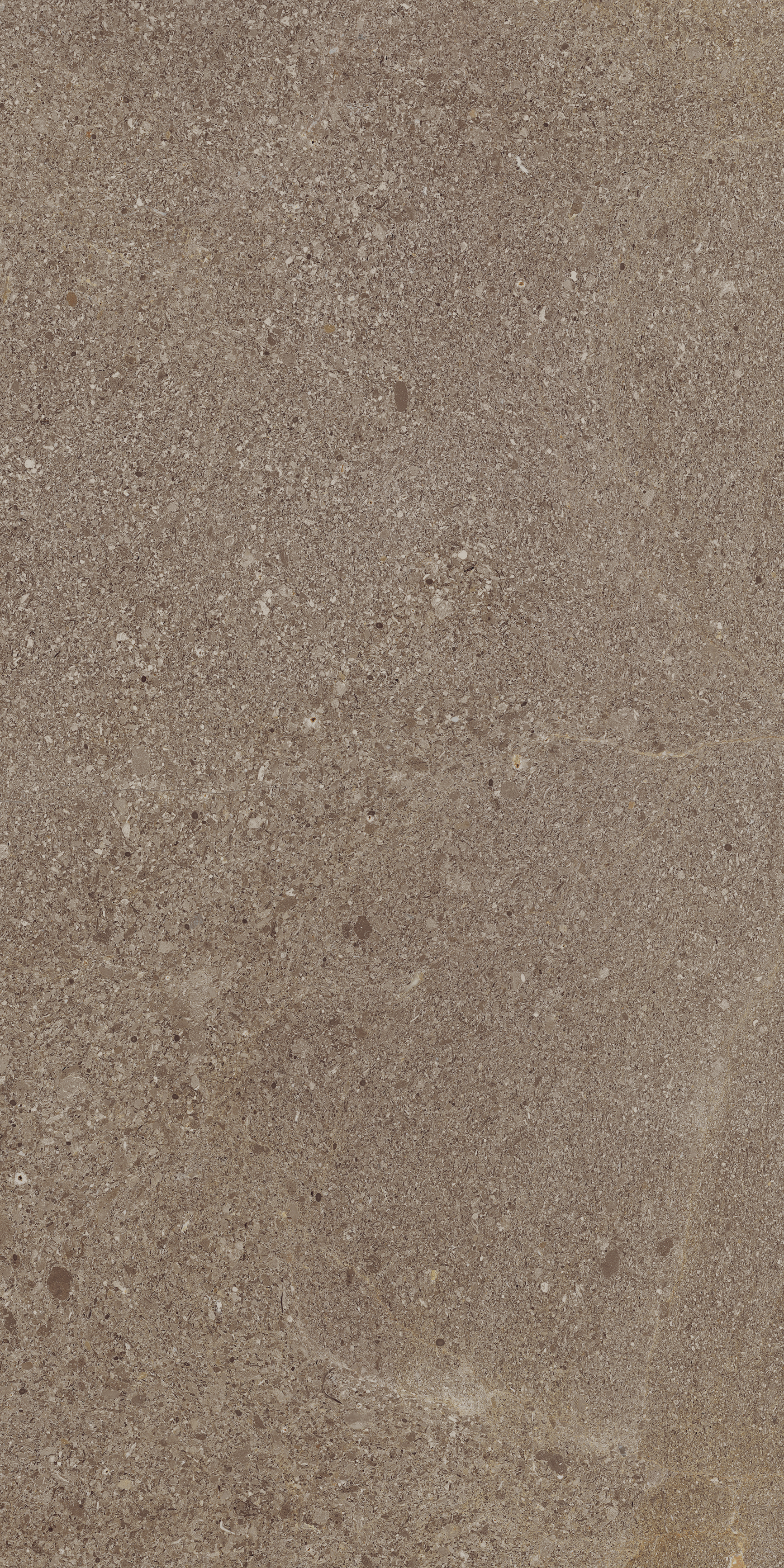 Контемпора Бёрн (30X60 Грип) ..