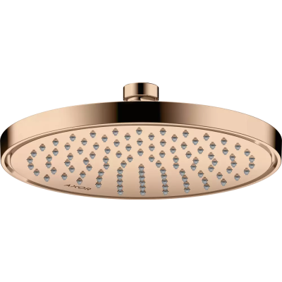 AX Conscious Showers Верхний душ 220 1jet, EcoSmart, PRG ..