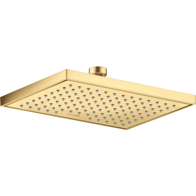 AX Conscious Showers Верхний душ 245/185 1jet, BGO ..