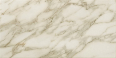 Marvel Royal Calacatta 40x80