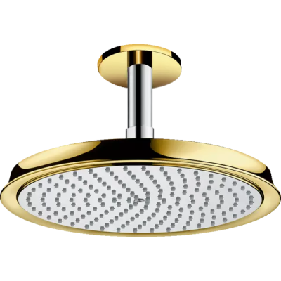 HG Raindance C 240 Верхний душ ..