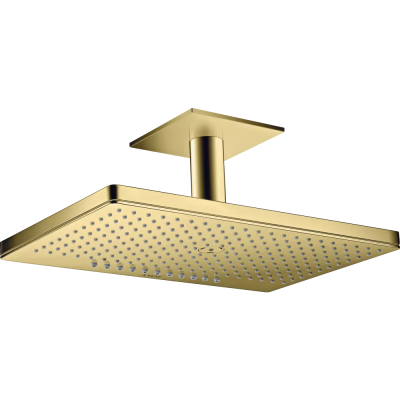 AX Верх.душ 460 2jet, потолоч.подс. ..