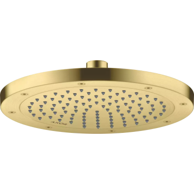 AX Conscious Showers Верхний душ 245 1jet, EcoSmart, BB ..